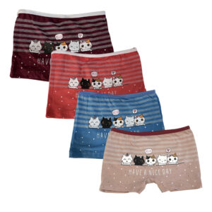 Pack 4 Slip Short Fille Coton
